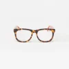 Barlett Readers in Tortoise