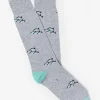 Socks in School Of Fish
